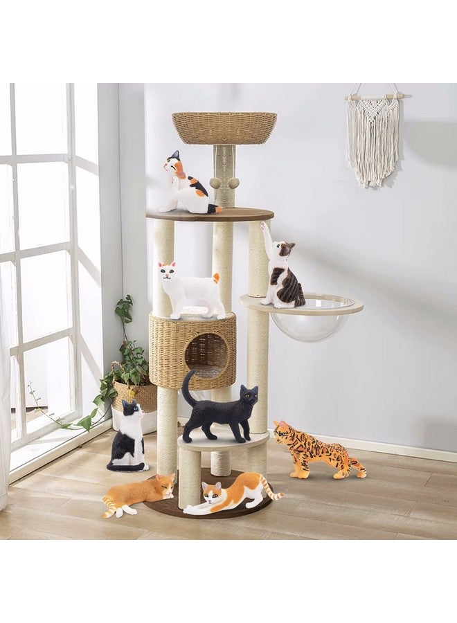 Toymany 8PCS Realistic Cat Figurines, Educational Cat Figures Toy Set, Kitten Easter Eggs Cat Cake Topper Easter Eggs Birthday Gift for Kids Boys Girls Children - Image 2