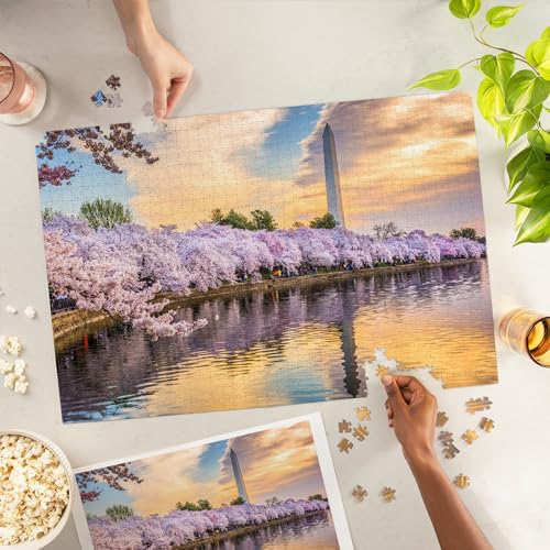 Lantern Press Washington DC Washington Monument and Cherry Blossoms Reflecting at Sunset 1000 Piece Jigsaw Puzzle for Adults Made in USA with Reference Poster - Image 5