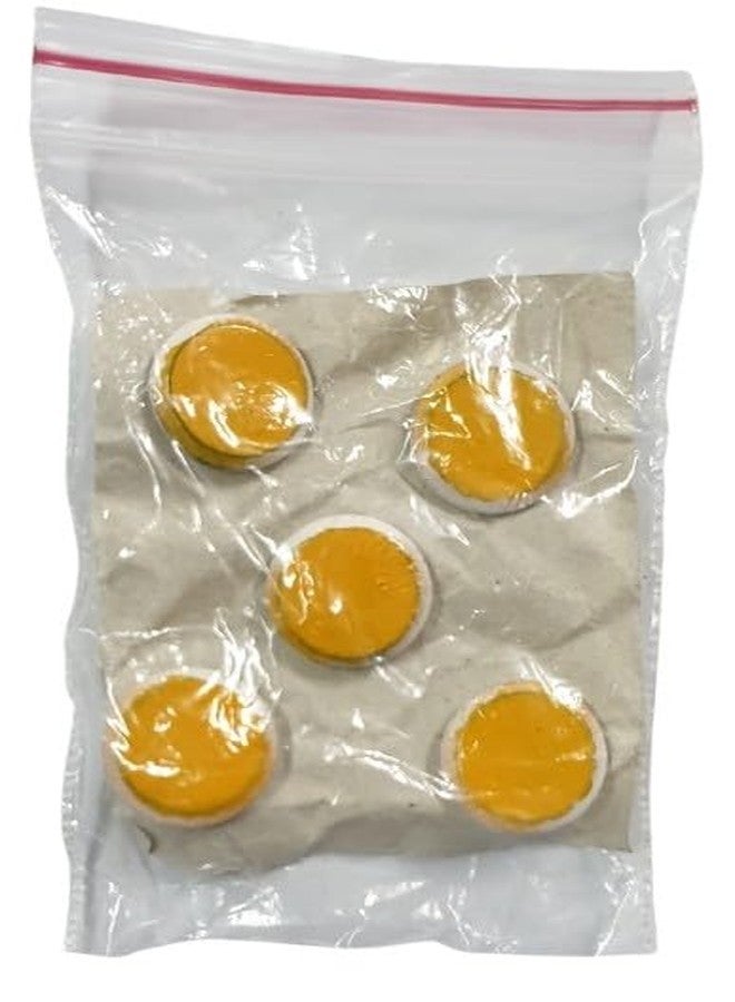 ANCS Sujok Byol Magnet Sujok Therapy Treatment use for Extra Large Jumbo Size (Set of-10) - Image 3