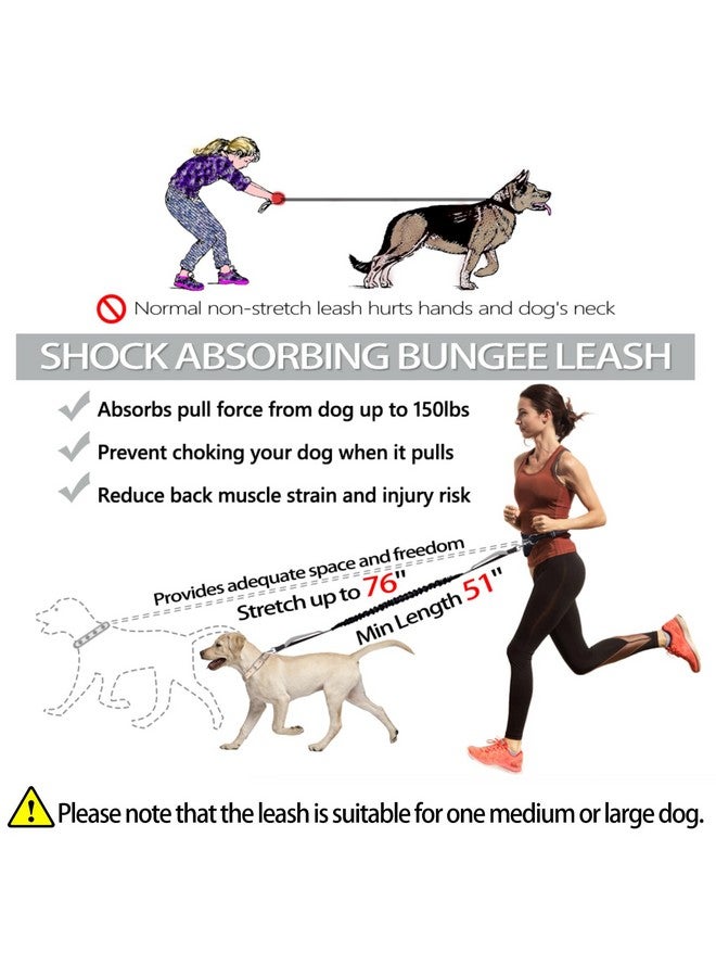 LANNEY Hands Free Dog Leash, Waist Running Leash with Zipper, Walking Pouch for Medium Large Dogs, Dual Handle and Retractable Bungee for Training Jogging Hiking - Image 3