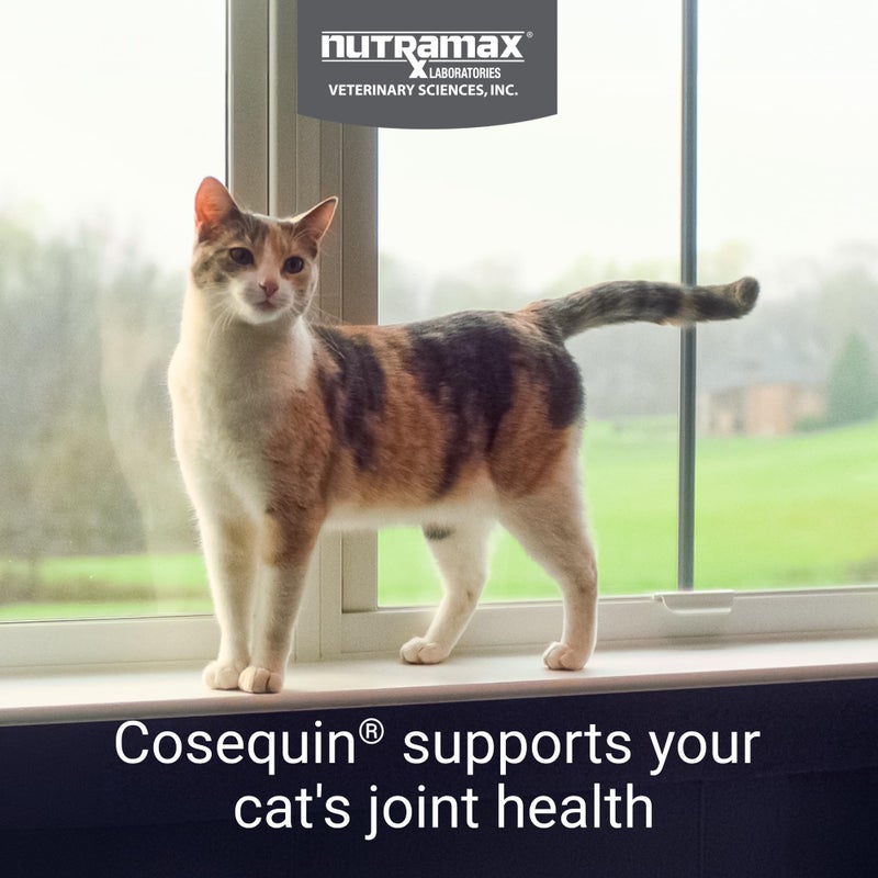 Nutramax Laboratories مكمل صحة المفاصل للقطط من نوتراماكس كوزكوين، يحتوي على الجلوكوزامين للقطط، بالإضافة إلى الكوندرويتين وأوميغا-3، يدعم صحة المفاصل والجلد والفرو، مضغ ناعم، 60 قطعة - Image 2