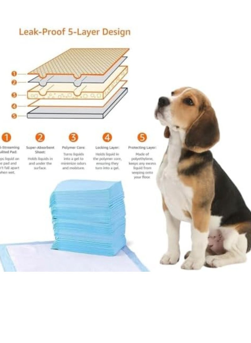 Queens Pack x20 Large Absorbent Pads for Pet, Dogs & Cats – Waterproof Dog Pads, Pee Pads dog Sheet, XL Puppy Training Pads with Quick-Dry Technology, Disposable Absorbent Quick Drying Leak, 60x90cm (XL, 20, COUNT) - Image 3