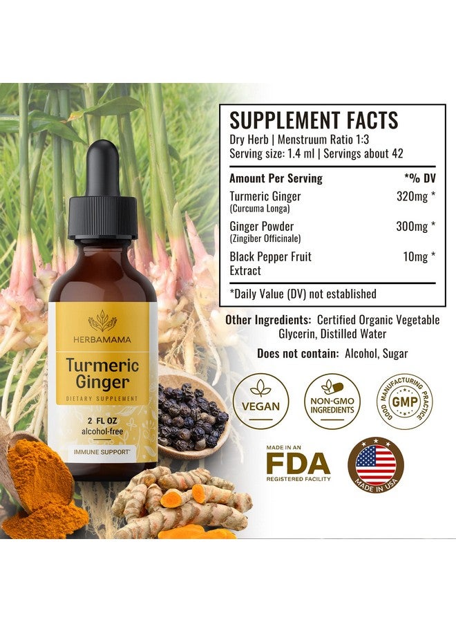 HERBAMAMA Turmeric Ginger Drops Organic Turmeric Ginger W/Black Pepper Tincture Turmeric Ginger Liquid Extract Vegan Supplements 2 Fl Oz - Image 3