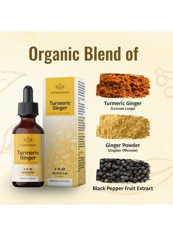 HERBAMAMA Turmeric Ginger Drops Organic Turmeric Ginger W/Black Pepper Tincture Turmeric Ginger Liquid Extract Vegan Supplements 2 Fl Oz - Image 4