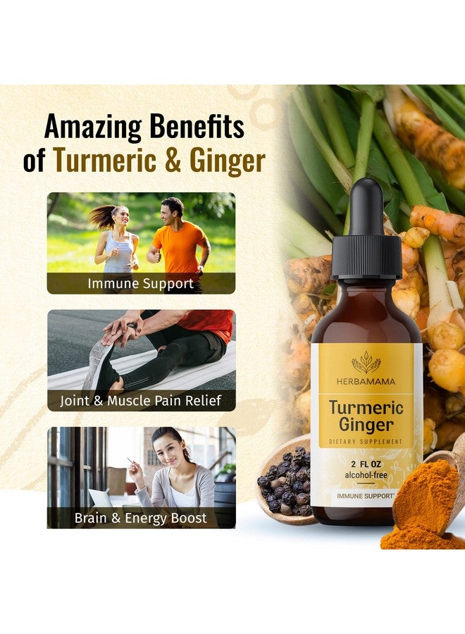 HERBAMAMA Turmeric Ginger Drops Organic Turmeric Ginger W/Black Pepper Tincture Turmeric Ginger Liquid Extract Vegan Supplements 2 Fl Oz - Image 5