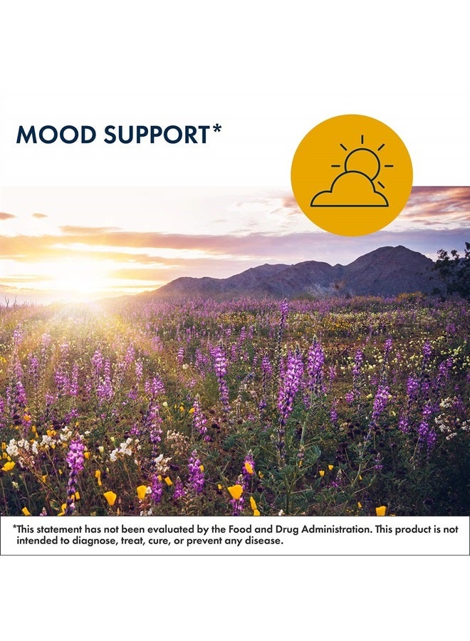 Metabolic Maintenance MetaCalm - Stress Regulation Formula with Methylated Folate, Magnesium Glycinate, GABA, 5-HTP, L-Theanine - Vitamin B6 Mood Support & Relaxation Support Calm Pills (90 Capsules) - Image 2