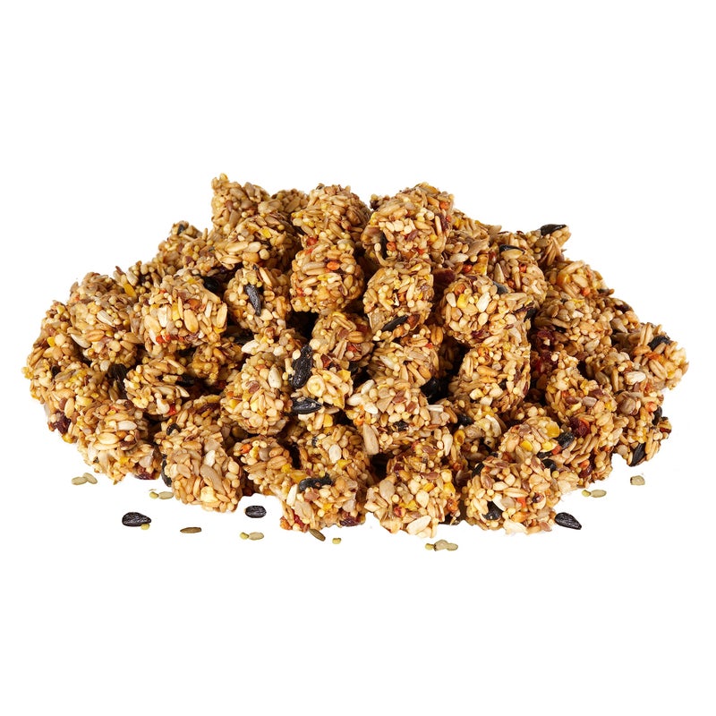 Kaytee Granola Bites with Superfoods Cranberry, Apple and Flax for Rats, Mice, Hamsters, Gerbils, Rabbits, Guinea Pigs and Chinchillas, 4.5 oz - Image 2