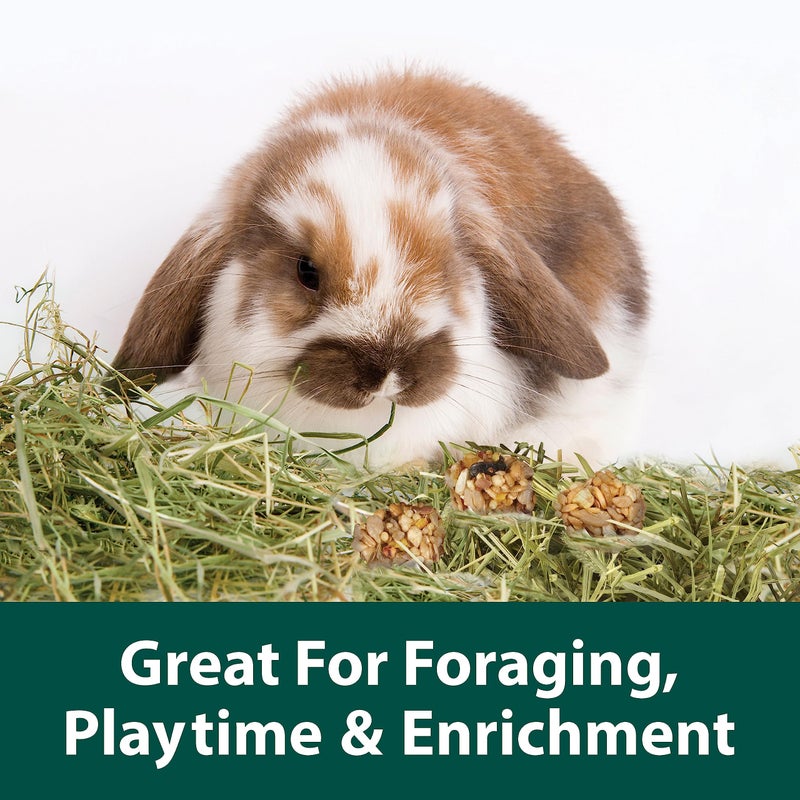 Kaytee Granola Bites with Superfoods Cranberry, Apple and Flax for Rats, Mice, Hamsters, Gerbils, Rabbits, Guinea Pigs and Chinchillas, 4.5 oz - Image 3