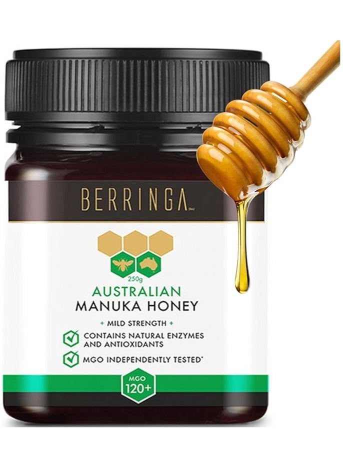 BERRINGA Bioactive Raw Australian Manuka Honey MGO 120+ 250g – 100% Pure, Certified, Non-GMO Superfood