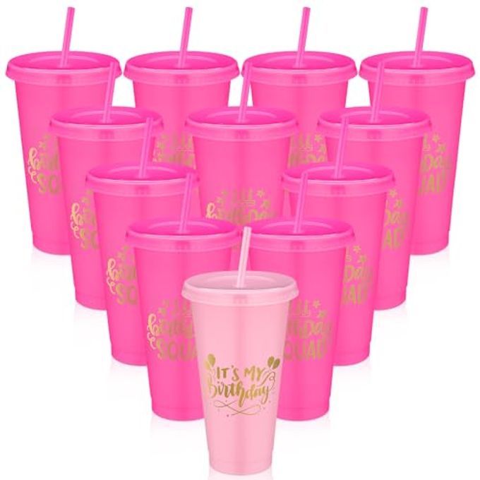 Jingmore Birthday Squad Cups 24 oz Party Tumblers Plastic Tumblers with Lid and Straw for 20th 30th 40th 50th 60th Birthday Decorations Favor for Women Girls Adults(Pink, Rose Red,12 Pcs)