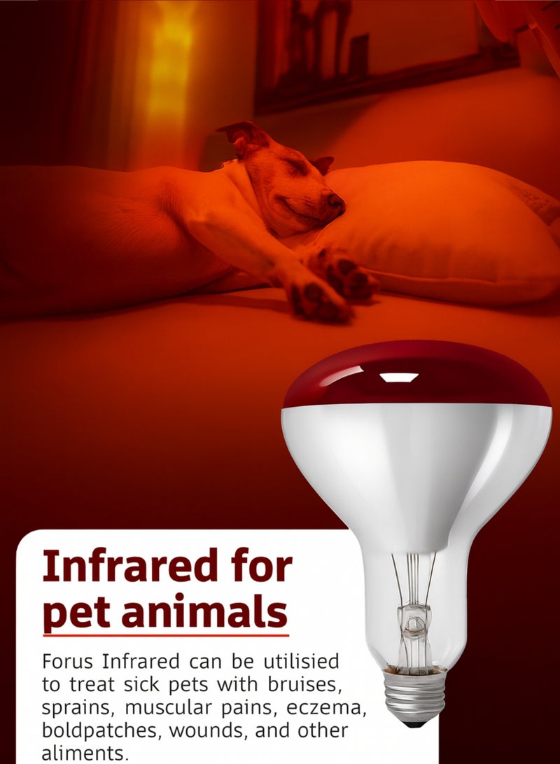 Pet Heat & Red Heat Lamp Bulb R125 – 200W Infrared Heating Lamp, E27 Base, 125×174mm – Long Life 6000 Hours – 220-240V Heat Bulb for Poultry, Chicks, Livestock, Reptiles & Brooding - Image 4