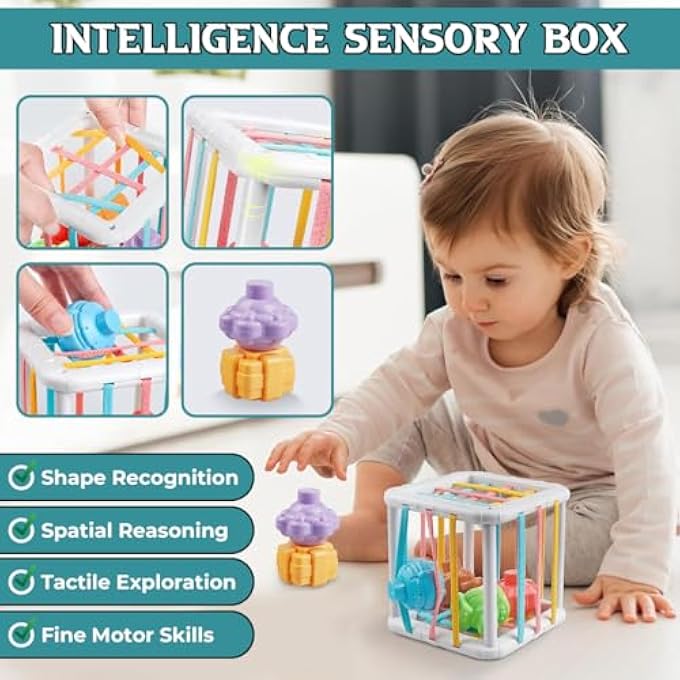 ألعاب مونتيسوري للأطفال من عمر 1 سنة فما فوق - مجموعة أنشطة للأطفال 6 في 1 مع كتل خشبية، إكسيلوفون، فرز الأشكال، ألعاب التكديس، عضاضات - ألعاب تعليمية للأطفال من عمر 6-12-18 شهرًا - Image 4