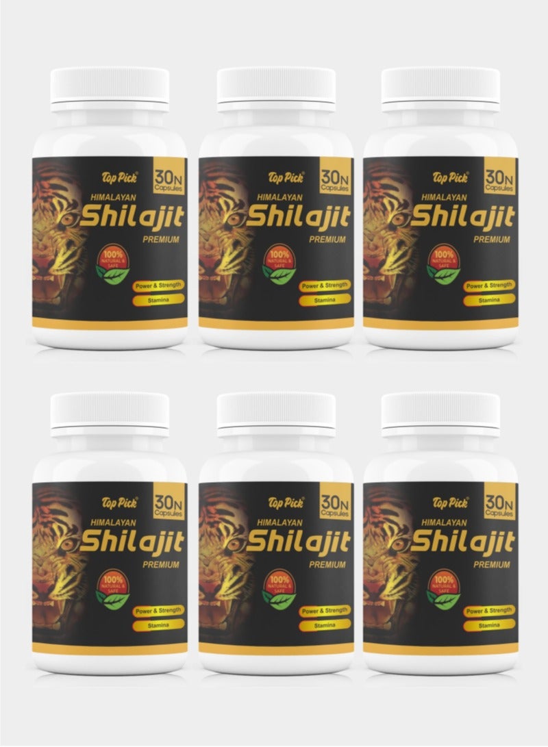 Himalayan Shilajit Premium Power & Strength Stamina Pack of 6