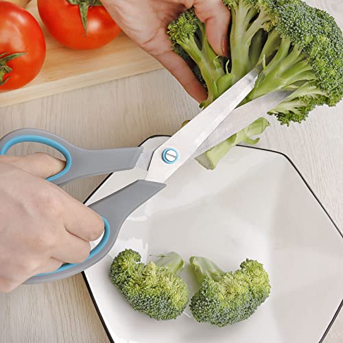Asdirne Premium Kitchen Scissors Set, Kitchen Shears, Food-Grade Stainless Steel Blades, Ergonomic Rubber Handle, Include 1 Poultry Shears and 4 All Purpose Scissors, 9.1”/9.6"/8.5"/6.4"/5.4" - Image 3