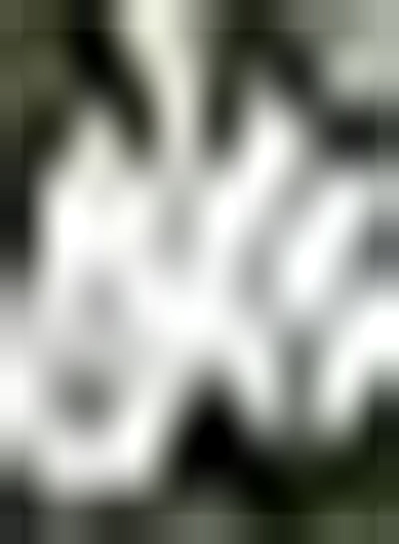 GGOOT 6pcs Witte Zephyranthes Bollen Romantische Bloem Vaste Plant Knollen voor Tuinieren Planten DIY Tuin Decoratie Geschikt voor Beginners - Image 1