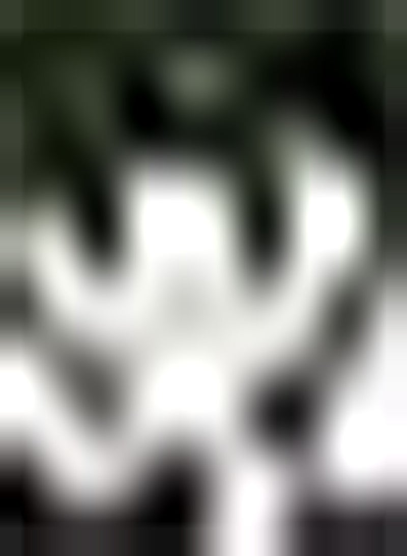 GGOOT 6pcs Witte Zephyranthes Bollen Romantische Bloem Vaste Plant Knollen voor Tuinieren Planten DIY Tuin Decoratie Geschikt voor Beginners - Image 2