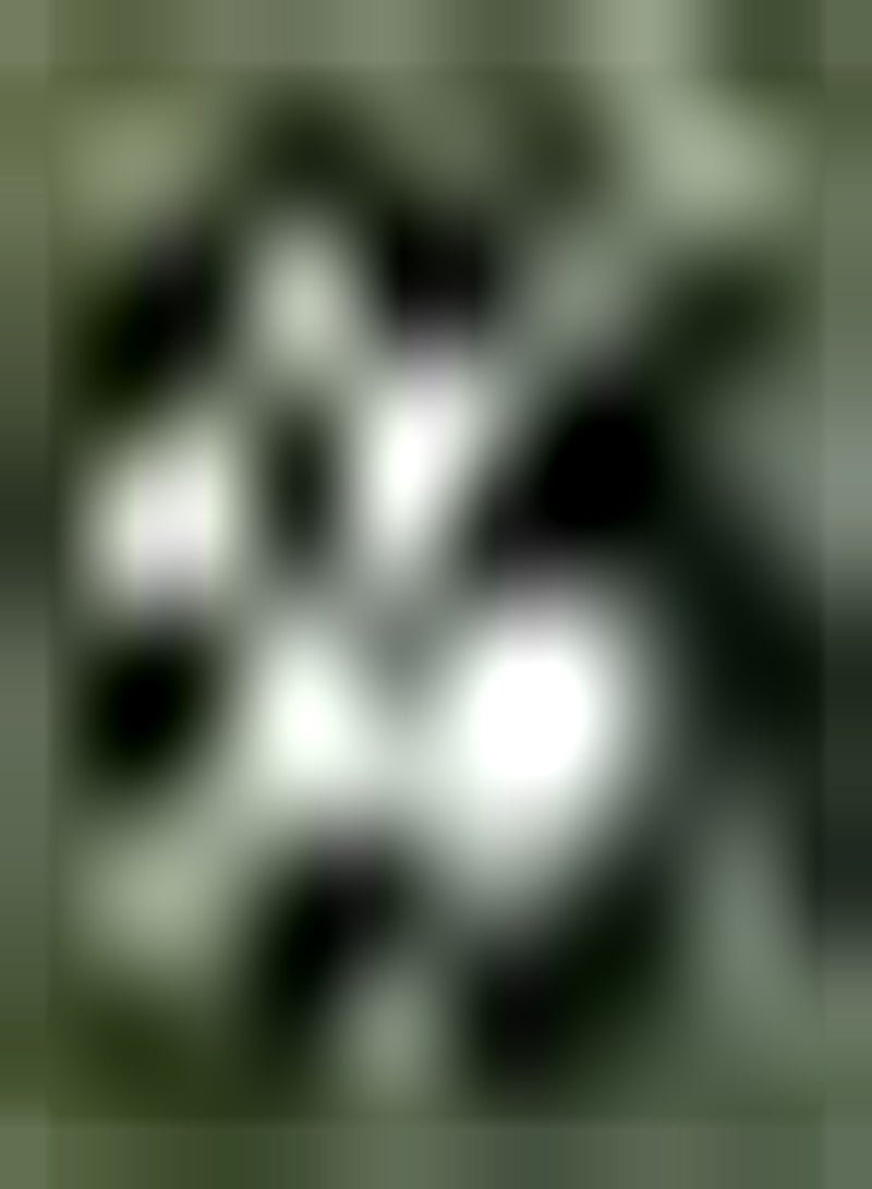 GGOOT 6pcs Witte Zephyranthes Bollen Romantische Bloem Vaste Plant Knollen voor Tuinieren Planten DIY Tuin Decoratie Geschikt voor Beginners - Image 3