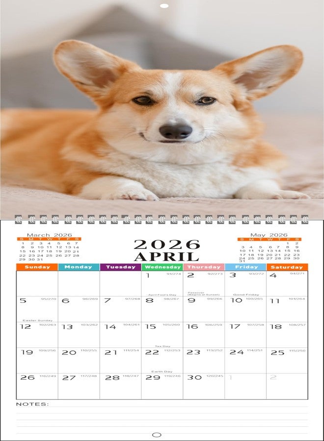 lucilynx 2026 Wall Calendar, Includes January to December 2026,Dog Breed Monthly Wall Calendar, 11 x 8.5 Inches,Thick & Sturdy Paper, Giftable, Dog Calendar 2026 - Image 5
