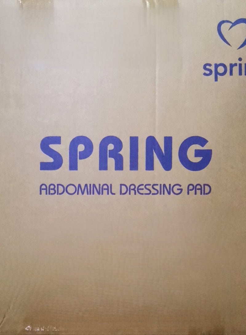 SPRING 150-piece Sanitary Pads Carton (6 packs of 25 pieces each) Disposable Absorbent Bed Pads for Adults, Children and Elderly 90cm*60cm - Image 2