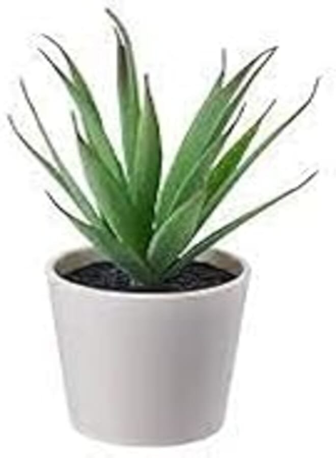 Ikea FEJKA Artifical Plant (Room Decor)