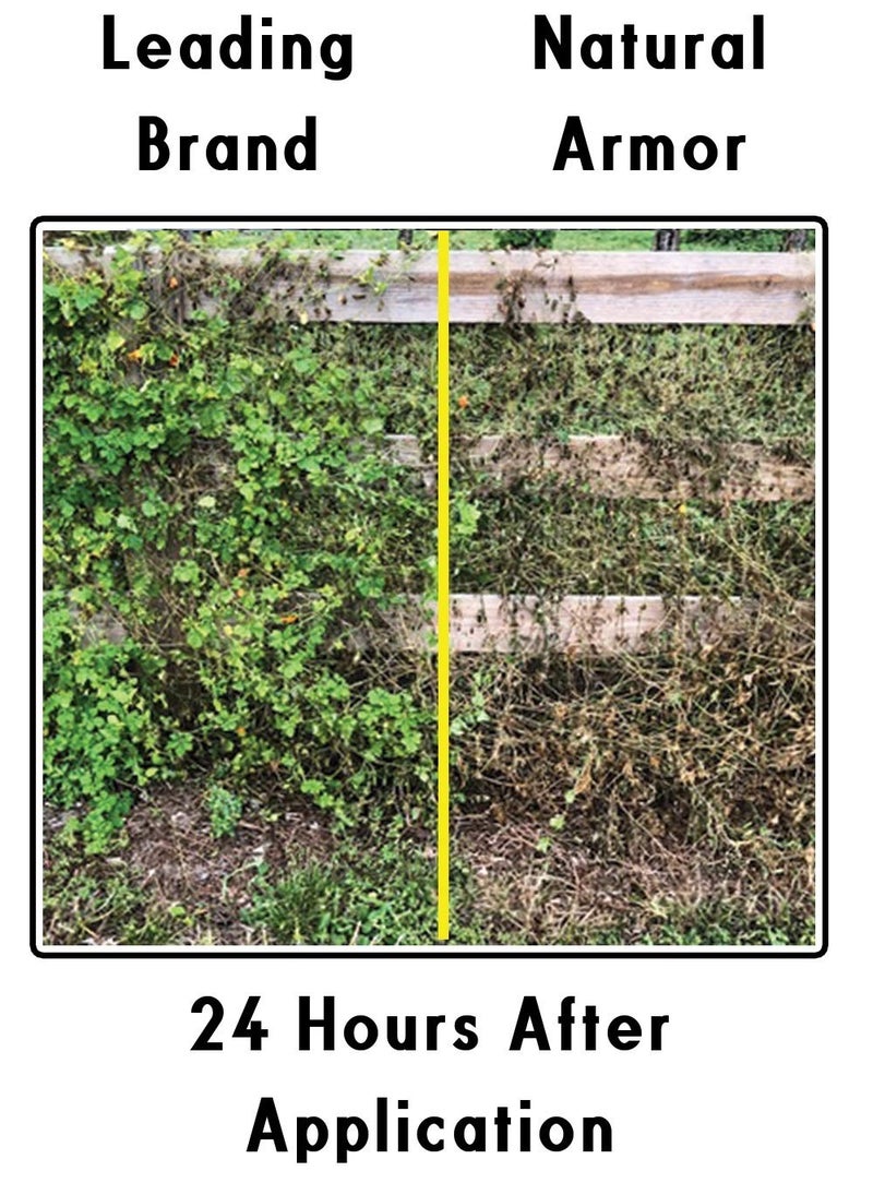 Natural Armor قاتل الأعشاب والطحالب الطبيعي - تركيبة مركزة طبيعية. لا يحتوي على جلايفوسات (320 أونصة. 2.5 جالون) - Image 2