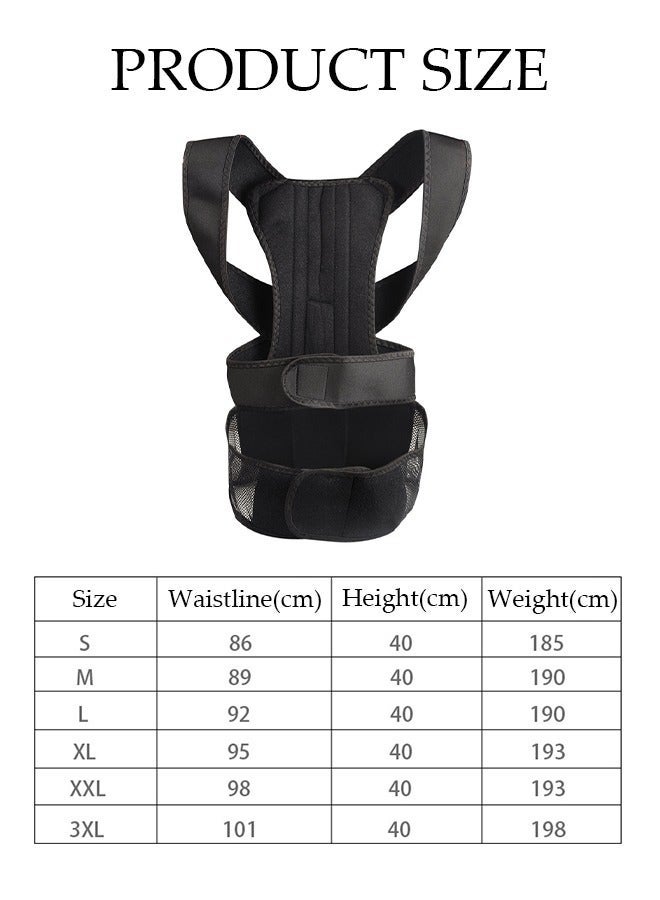DUNISO Posture Corrector Belt for Adults and Kids Comfortable Adjustable Back Braces Improve Neck Shoulder Posture Bands Pain Relief for Back Shoulders Neck M - Image 4
