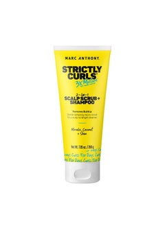 MARC ANTHONY 2In1 Scalp Scrub And Shampoo Strictly Curls Deep Cleansing & Exfoliating Shampoo For Curly Hair Removes Buildup With Coconut Oil Marula Oil Shea Butter & Bentonite Clay 7.05 Oz  - Image 2