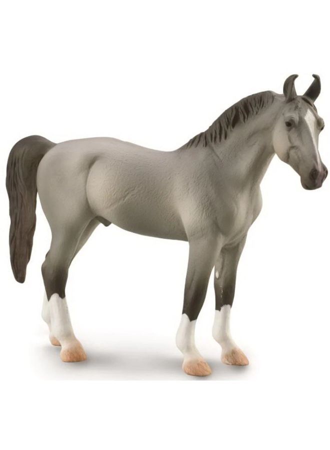 CollectA Marwari Stallion