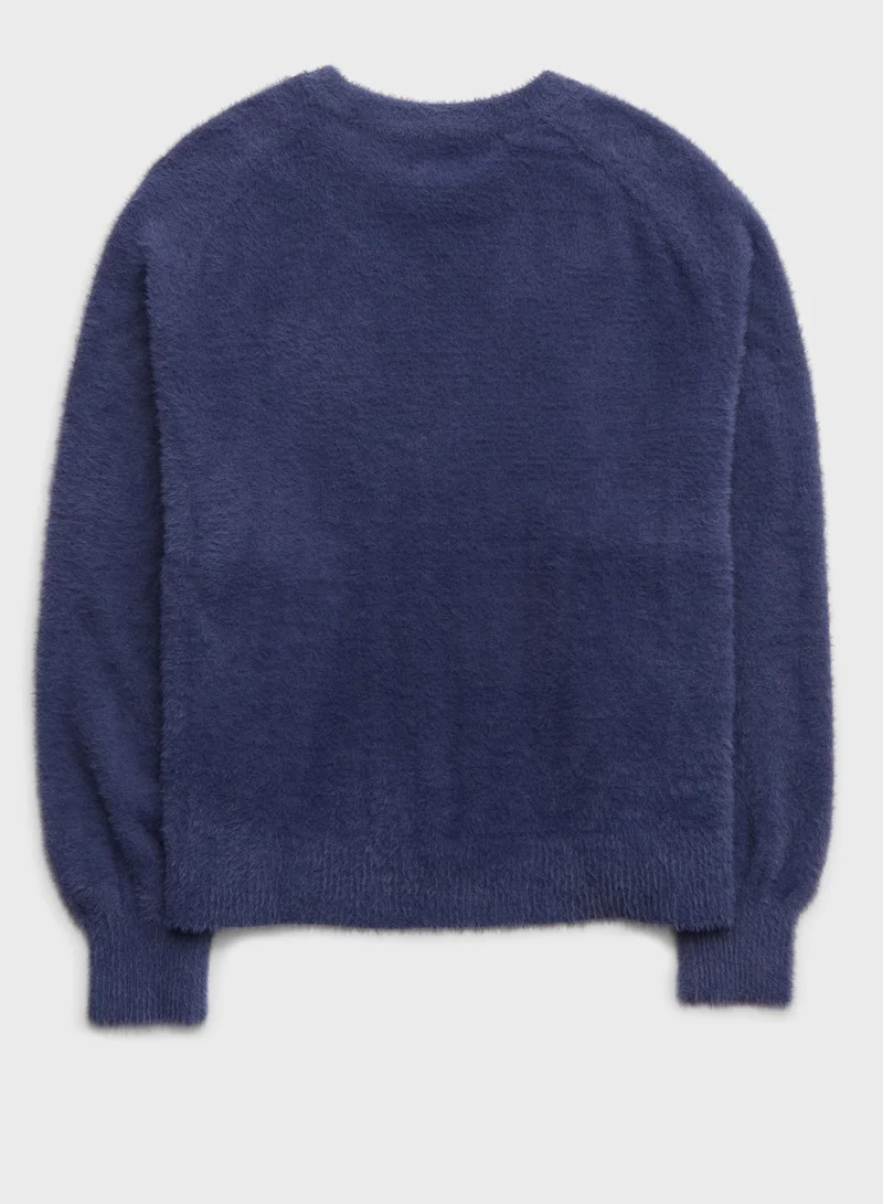 آري من امريكان ايجل Crew Neck Knitted Sweater