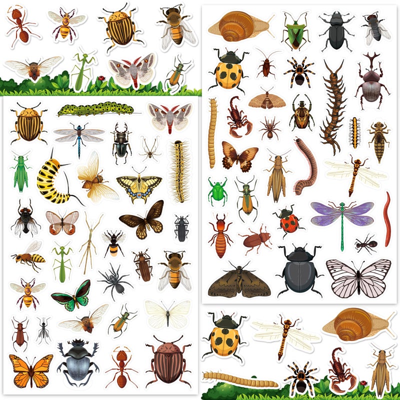 LINAYE 24 Sheets Insect Stickers for Kids Boys Girls, 780 Counts Bug Stickers for Scrapbooking,Water Bottles,Envelopes,Laptop - Image 1