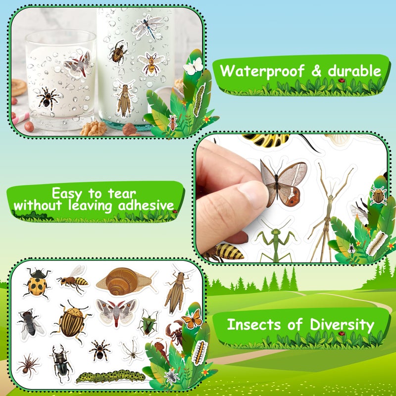 LINAYE 24 Sheets Insect Stickers for Kids Boys Girls, 780 Counts Bug Stickers for Scrapbooking,Water Bottles,Envelopes,Laptop - Image 5