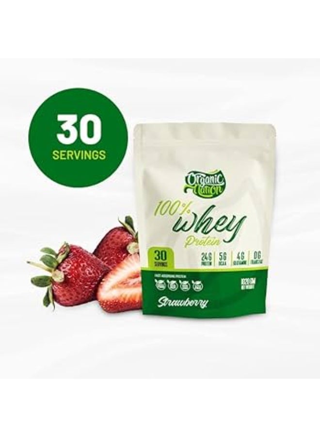 100% Whey Protein Strawberry Flavor – Protein Supplement for Muscle Support