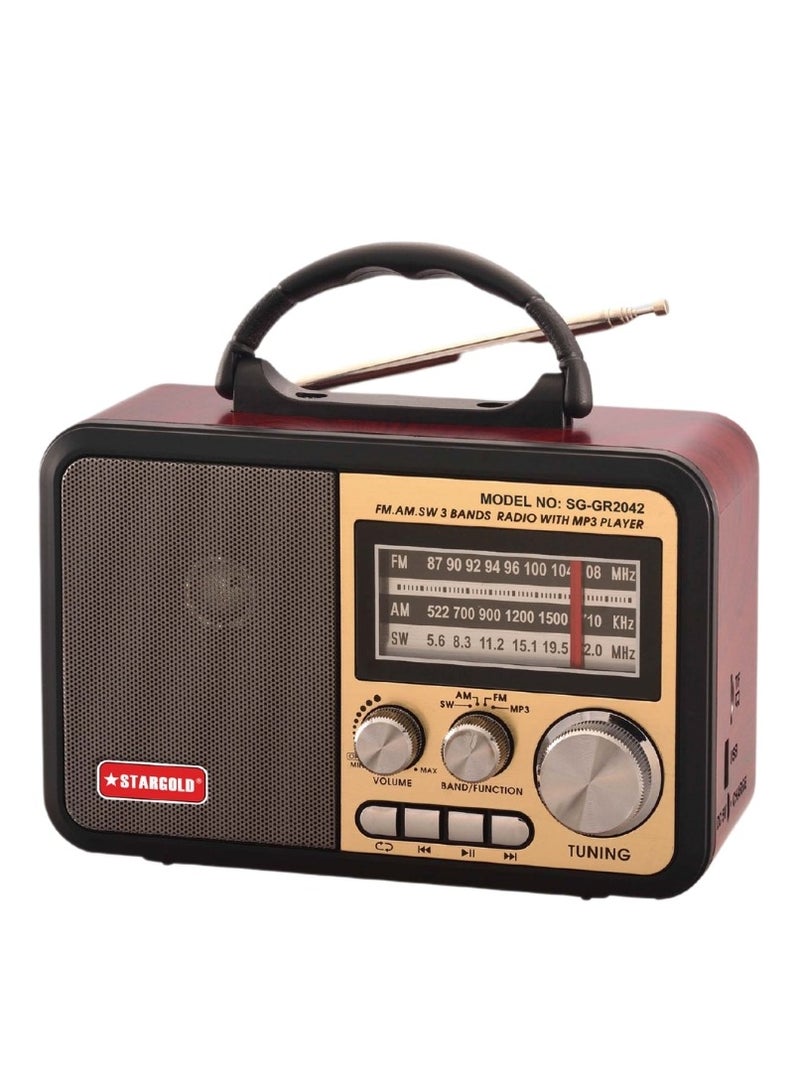 ستارجولد راديو FM/AM/SW محمول متعدد الوظائف، اتصال بلوتوث، TWS، مشغل TF، مشغل USB - Image 1