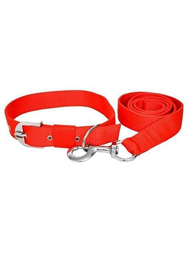Adjustable Soft Nylon Paw Plain Strip Dog Collar & Leash Set For Small And Large Breeds (Red) - Image 1