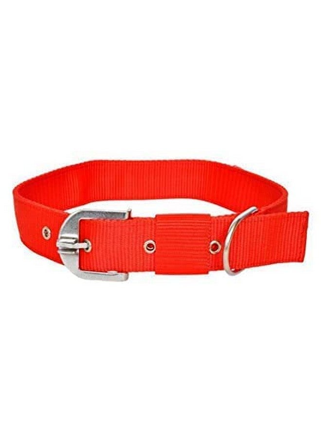 Adjustable Soft Nylon Paw Plain Strip Dog Collar & Leash Set For Small And Large Breeds (Red) - Image 2