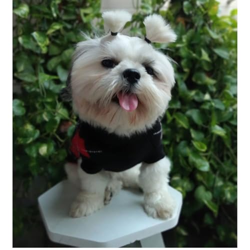 Lulala Small Dog Winter Sweater – Argyle Knit Pullover, Warm Polyester Pet Clothing, Black Red Design for Puppies & Small Breeds - Image 5