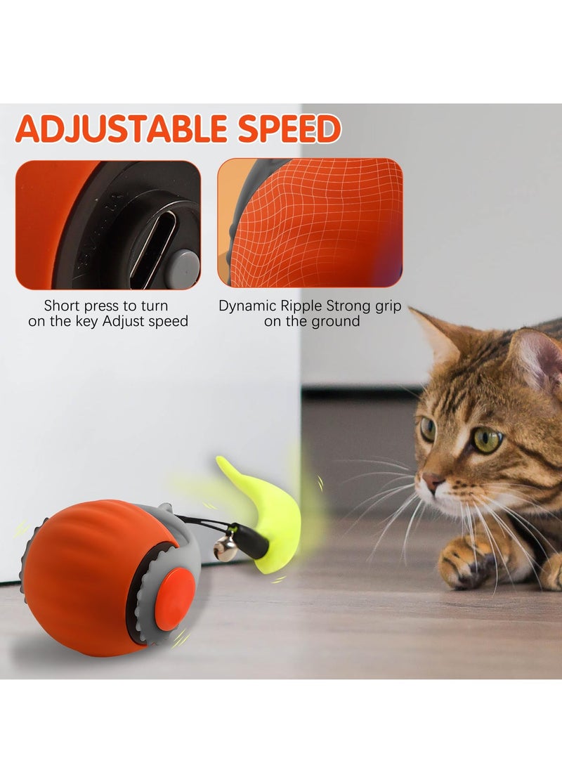 Loxira 2025 New Smart Interactive Cat Ball Toy - Indoor Automatic Roling Ball wih USB Charging, Self-Moving Boredom ReliefPet Game Accessories  - Image 4