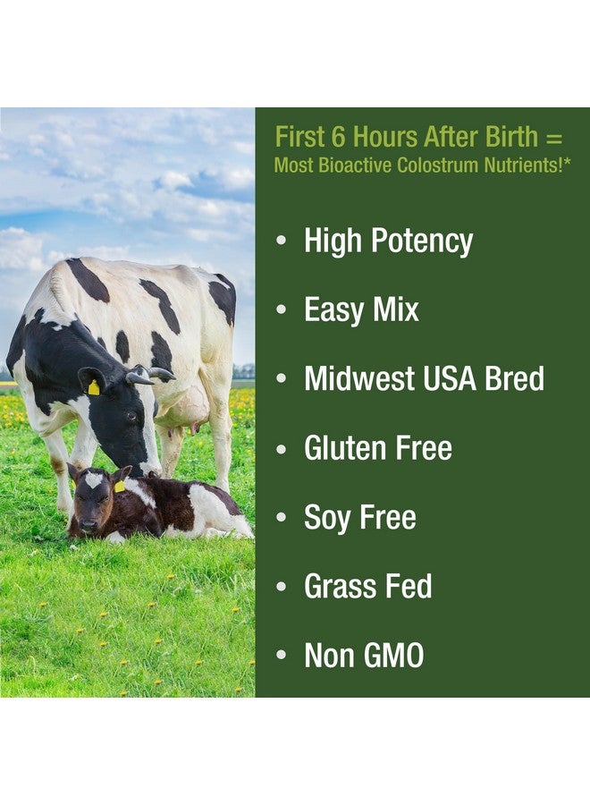 Peak Performance First Milking Colostrum Powder from Grass Fed USA Cows Milked Within 6 Hours of Giving Birth to Get The Most Bioactive Nutrients. High Immunoglobulin Bovine Colostrum Supplement for Humans - Image 3