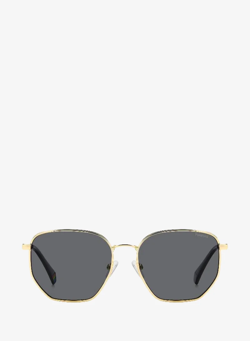 Wayfarers Sunglasses