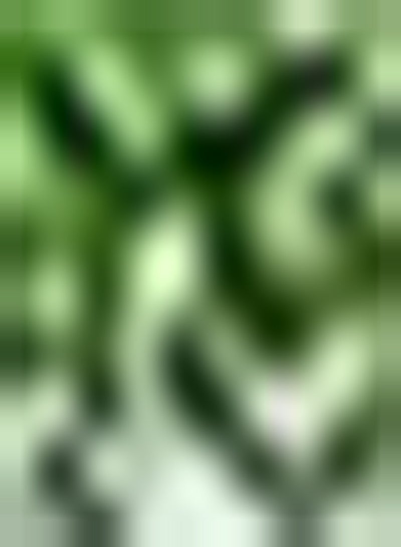 GGOOT 40pcs Spinazie Zaden Winterharde Donkergroene Bladeren Groente voor Tuinbeplanting Gemakkelijk te Kweken Geschikte Beginners Meepcs voorkomende Groentegewassen op de boerderij - Image 1