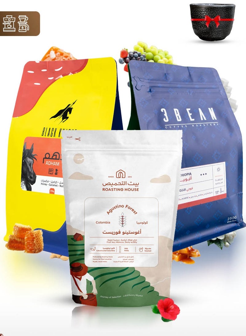 MIBRU Specialty Coffee bean Collection Box for Drip and Espresso Corps coffee v60 Set of 3 with cup - Image 2