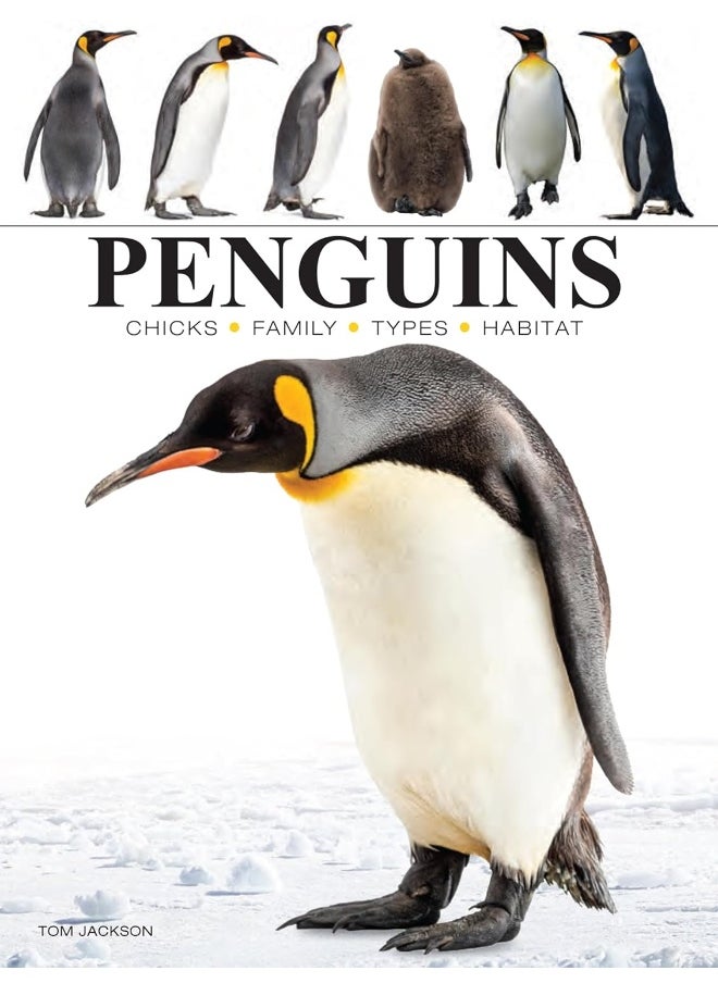 Penguins  - Image 1