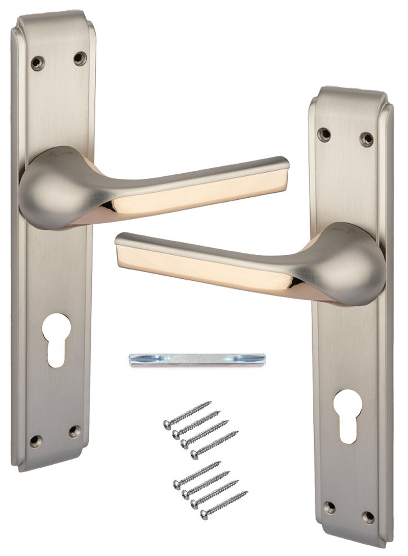 Pair Of Heavy Duty Door Handles Silver/Golden Color