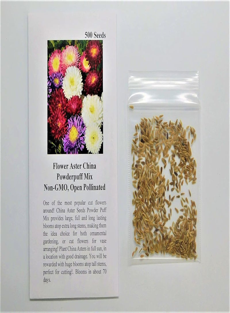 GGOOT Flower Aster China Powderpuff Mix 8798 (Mulit) 200 Non-GMO, Open Pollinated Seeds - Image 2