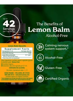 Herb Pharm Certified Organic Lemon Balm Liquid Extract for Calming Nervous System Support, Alcohol-Free Glycerite, 1 Oz - pzsku/Z921B78C53AD0B5AEE36AZ/45/_/1740203285/9f941978-efa8-4f2f-91ab-11457eaed534