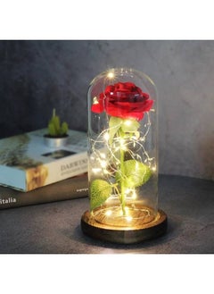 Beauty And The Beast Rose In LED Glass Dome - pzsku/Z921C4E4CBEBA49265D64Z/45/_/1633267698/530842df-a331-404b-8d6c-883ec8ddfd96