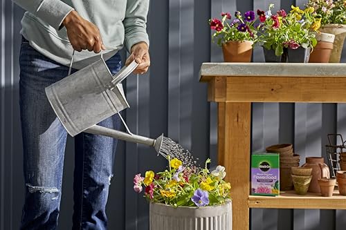 Miracle-GRO Water Soluble Bloom Booster Flower Food, for Use on All Annuals and Perennials, 1.5 lbs., 2-Pack - Image 5