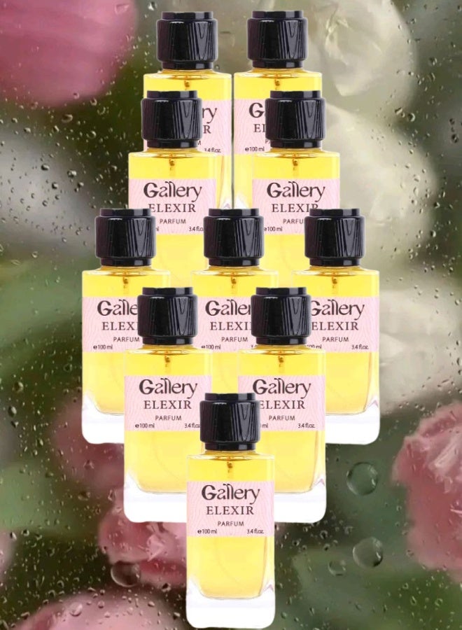 Gallery 10 Pieces Gallery Elexir Perfume 100ML - Image 1