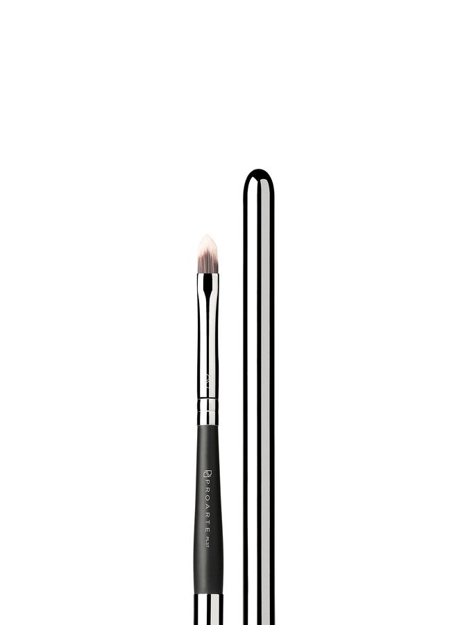PROARTE RETRACTABLE LIP BRUSH PL-37