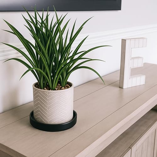 D'vine Dev Modern Round 5.4 Inch Ceramic Plant Pot Saucer, Planter Pot Drainage Tray for Indoor Plants, Set of 2, Matte Black, 97-T-B-22 - Image 5